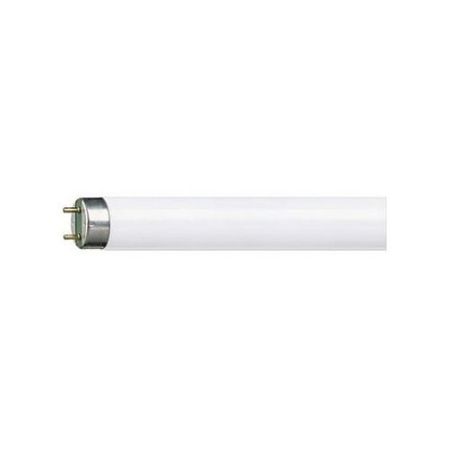Tub fluorescent T8 36W 1200mm, alb cald - Philips